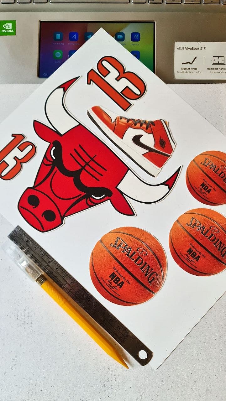 Chicago Bulls basketball edible print sheet